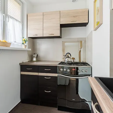 Апартаменты Apartamen Pod Wierzba