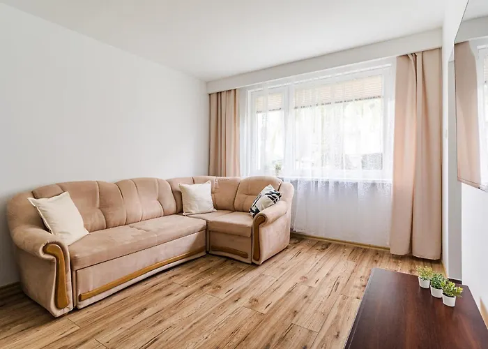 公寓 Apartamen Pod Wierzba 格但斯克