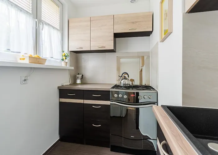 公寓 Apartamen Pod Wierzba